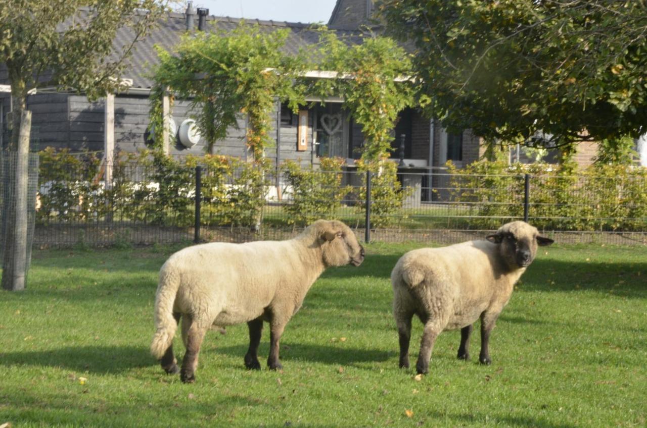 Guesthouse De Bongerd Overberg, B&B Holland, The Orchard Exterior foto